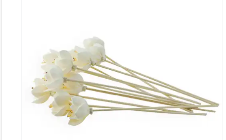 Flower Diffuser Reeds